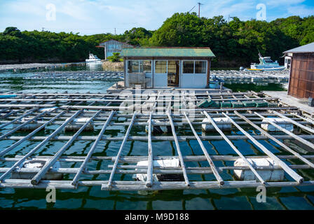 Perla coltivazione, fa Bay, Città Shima, Prefettura di Mie,Giappone Foto Stock