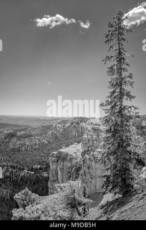 Alti pini bella vista delle scogliere di arenaria e valle sotto il cielo. Foto Stock