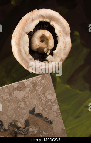 Funghi commestibili still life fotografia Foto Stock