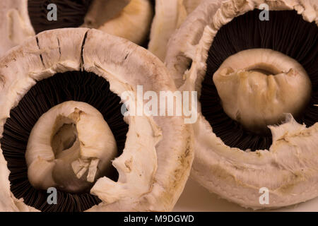 Funghi commestibili still life fotografia Foto Stock