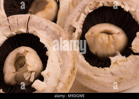 Funghi commestibili still life fotografia Foto Stock