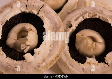 Funghi commestibili still life fotografia Foto Stock
