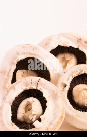 Funghi commestibili still life fotografia Foto Stock