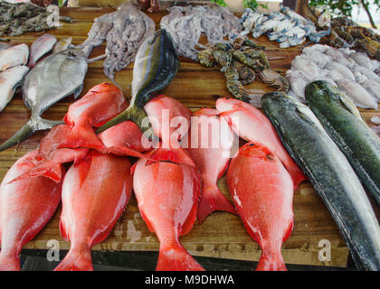 Varie il pesce appena pescato sul contatore di legno. Strada del mercato in Asia. Foto Stock