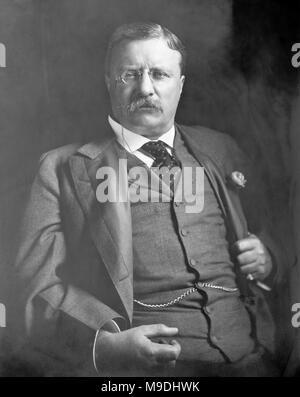 Theodore Roosevelt, Theodore Roosevelt Jr (1858 - 1919) American statista e scrittore e il ventiseiesimo Presidente degli Stati Uniti dal 1901 al 1909 Foto Stock