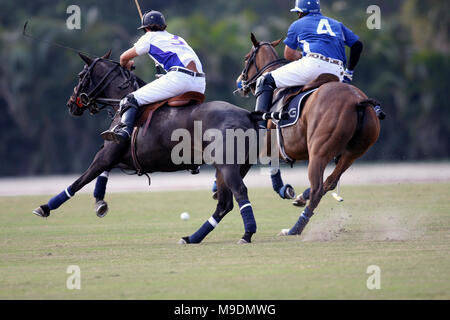 Wanderer's Classic presso la International Polo Club di Wellington, in Florida Foto Stock