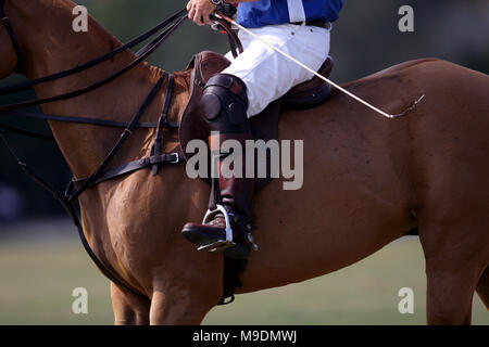 Wanderer's Classic presso la International Polo Club di Wellington, in Florida Foto Stock