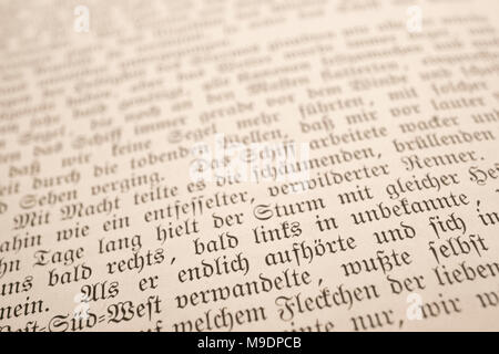 Dettagli del libro I viaggi di Gulliver, pubblicato nel tardo Ottocento come Gullivers Reisen, da Franz Hoffman. Include le illustrazioni. Foto Stock