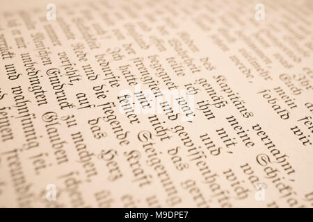 Dettagli del libro I viaggi di Gulliver, pubblicato nel tardo Ottocento come Gullivers Reisen, da Franz Hoffman. Include le illustrazioni. Foto Stock