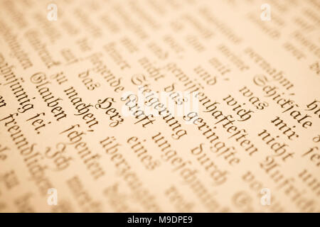 Dettagli del libro I viaggi di Gulliver, pubblicato nel tardo Ottocento come Gullivers Reisen, da Franz Hoffman. Include le illustrazioni. Foto Stock