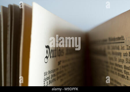 Dettagli del libro I viaggi di Gulliver, pubblicato nel tardo Ottocento come Gullivers Reisen, da Franz Hoffman. Include le illustrazioni. Foto Stock