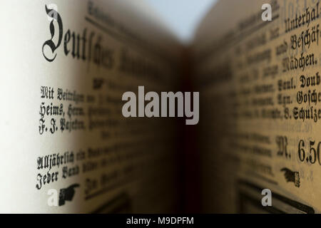 Dettagli del libro I viaggi di Gulliver, pubblicato nel tardo Ottocento come Gullivers Reisen, da Franz Hoffman. Include le illustrazioni. Foto Stock