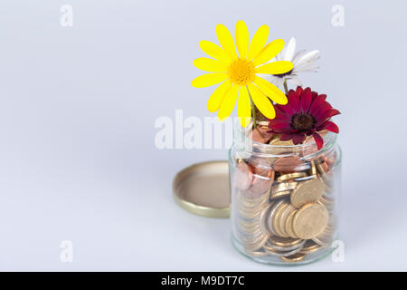 I soldi dei fiori in un vaso di vetro pieno di monete in euro su sfondo bianco. Foto Stock