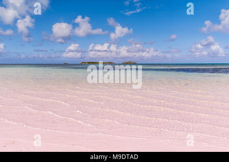 Sabbia rosa della spiaggia in Bahamas con acqua turchese e isola Foto Stock