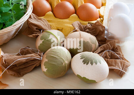 Preparazione di uova di pasqua per morire con bucce di cipolla - foglie fresche sono allegate per le uova Foto Stock