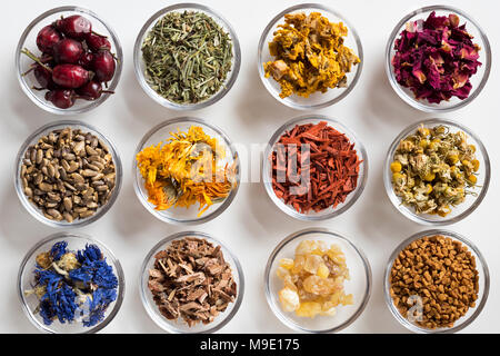 Selezione di erbe su sfondo bianco - essiccate, rosa canina, Equiseto, mullein, petali di rosa, cardo, calendula, sandalo, camomilla, Fiordaliso, Foto Stock