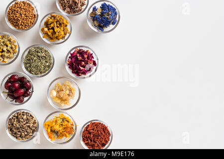 Selezione di erbe su sfondo bianco con spazio copia - essiccate, rosa canina, Equiseto, mullein, petali di rosa, cardo, calendula, sandalo, chamom Foto Stock