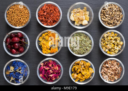 Selezione di erbe su sfondo scuro - fieno greco, sandalo, incenso resina, cardo, rosa appassita hips, calendula, Equiseto, Camomilla, cor Foto Stock