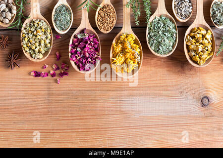 Erbe su cucchiai su uno sfondo di legno con copia spazio. I nasturzi, camomilla, equiseto, petali di rose, fieno greco semi, calendula, piantaggine, latte questo Foto Stock