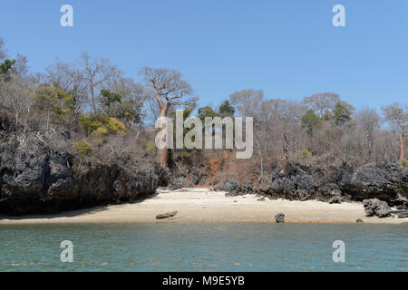 Un malgascio barca da pesca si siede su una spiaggia isolata in Madagascar circondato da alberi di baobab. Foto Stock