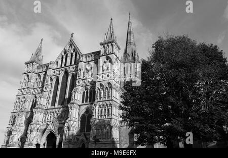 La Cattedrale di Salisbury nel pomeriggio autunnale luce Foto Stock