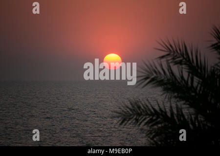 Bel tramonto sul mare in un paese tropicale. Il sole splende attraverso le foglie di un albero di palma. Il sole tramonta dietro l'orizzonte in mare Foto Stock