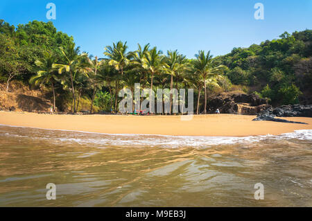 Alberi di palma tropicali e deserta spiaggia con sabbia pulita e limpida acqua. Vista dal mare per il Palm grove. Foto Stock