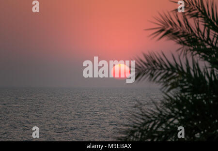 Bel tramonto sul mare in un paese tropicale. Il sole splende attraverso le foglie di un albero di palma. Il sole tramonta dietro l'orizzonte in mare Foto Stock