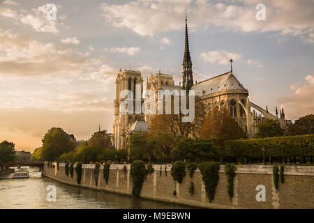 Francia, Parigi, la cattedrale di Notre Dame Foto Stock