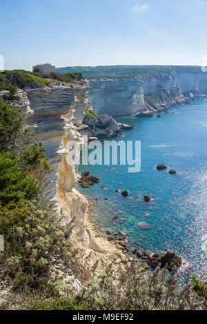 Il chalkstone scogliera di Bonifacio, Corsica, Francia, Mediterraneo, Europa Foto Stock