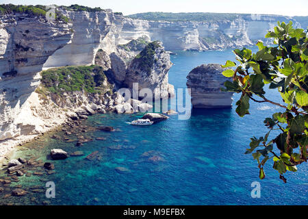 Guglie calcaree a chalkstone cliff, Bonifacio, Corsica, Francia, Mediterraneo, Europa Foto Stock