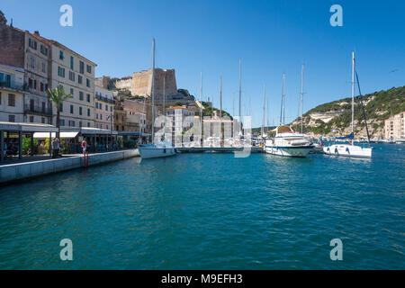 Prodotti della pesca e dal porto turistico di Bonifacio, Corsica, Francia, Mediterraneo, Europa Foto Stock