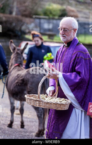 Sidmouth, Regno Unito, 25 Mar 18. Ponk il Donk ha preso un rotolo starring alla Domenica delle Palme servizio a Salcombe Regis chiesa, vicino a Sidmouth. La manifestazione annuale vede parrocchiani processo fino alla collina, e quest'anno il Rev David Lewis intitolata la passeggiata, insieme con Ponk, a 14 anno vecchio asino dalla vicina Sidmouth Donkey Sanctuary. Foto centrale / Alamy Live News. Credit: Foto centrale/Alamy Live News Foto Stock