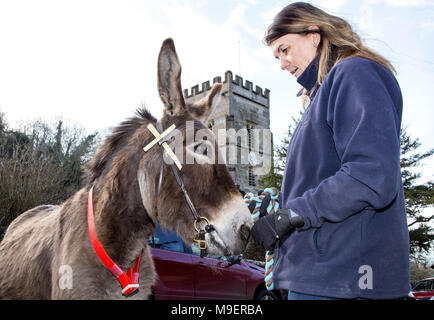 Sidmouth, Regno Unito, 25 Mar 18. Ponk asino, che ha portato i fedeli fino alla chiesa nello splendido villaggio seadide di Salcombe Regis. Ponk, a 14 anno vecchio asino è raffigurato con Maxine Carter, dal vicino a Sidmouth Donkey Sanctuary. Foto centrale / Alamy Live News. Credit: Foto centrale/Alamy Live News Foto Stock