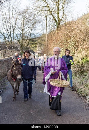 Sidmouth, Regno Unito, 25 Mar 18. Ponk il Donk ha preso un rotolo starring alla Domenica delle Palme servizio a Salcombe Regis chiesa, vicino a Sidmouth. La manifestazione annuale vede parrocchiani processo fino alla collina, e quest'anno il Rev David Lewis intitolata la passeggiata, insieme con Ponk, a 14 anno vecchio asino dalla vicina Sidmouth Donkey Sanctuary. Foto centrale / Alamy Live News. Credit: Foto centrale/Alamy Live News Foto Stock