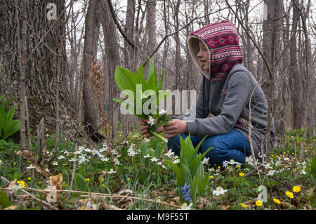 Ragazza adolescente bambino nella foresta di trovare e taglia i primi fiori di bucaneve dopo la partenza di inverno e l'arrivo della primavera. Molla di benvenuto Foto Stock