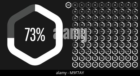 Set di esagono diagrammi di percentuale da 0 a 100 pronto per l'uso per il web design, l'interfaccia utente (UI) o una infografica - indicatore con il bianco Illustrazione Vettoriale