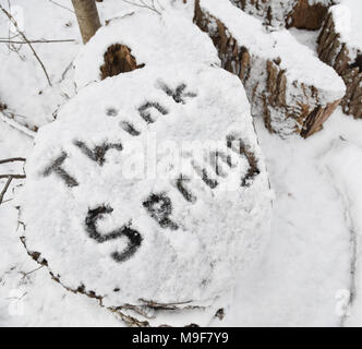 Il messaggio 'think molla' scritto nella neve su un log tagliato dopo un inizio di stagione nevicata. Foto Stock