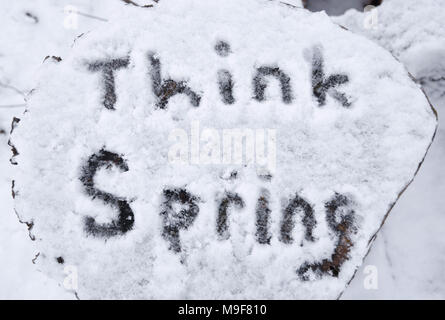 Il messaggio 'think molla' scritto nella neve su un log tagliato dopo un inizio di stagione nevicata. Foto Stock