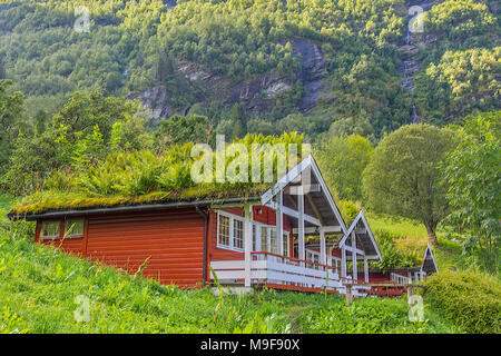 Erba case dal tetto a Geiranger Fjord Norway Foto Stock