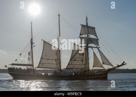Tern schooner "Thor Heyerdahl' una vela il fiordo di Kiel durante la settimana di Kiel nel giugno 2017, Kiel, Germania, Europa Foto Stock