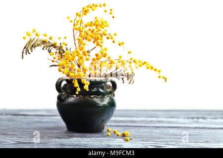 Fiori gialli di mimosa in un vaso di ceramica su uno sfondo bianco. Tavolo in legno, vicino il fuoco selettivo Foto Stock