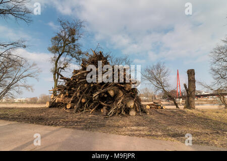 Magdeburg, Germania - 25 Marzo 2018: accatastati tronchi e rami per un gigantesco incendio di Pasqua. Foto Stock