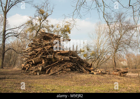 Accatastati tronchi e rami per un gigantesco incendio di Pasqua. Foto Stock