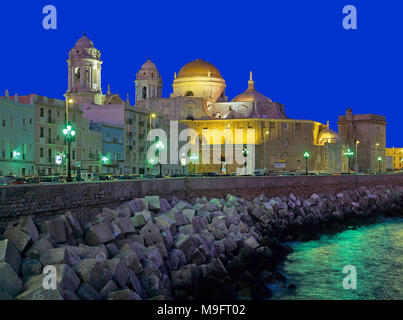 'Campo del Sur' e Cattedrale di notte. Cadice. Regione dell'Andalusia. Spagna. Europa Foto Stock