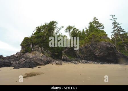 Wild paesaggi intorno a Tofino, Isola di Vancouver, BC Foto Stock
