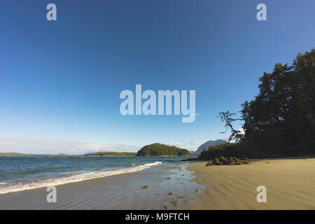 Wild paesaggi intorno a Tofino, Isola di Vancouver, BC Foto Stock