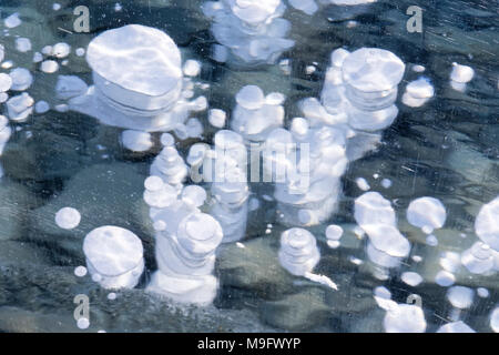 42,747.08368 close up di 3 pollici bolle di aria congelati in 3 ft da uno spesso strato di ghiaccio sul lago di Abramo, Nordegg, Alberta Canada, America del Nord Foto Stock