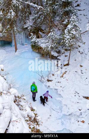 42,749.08877 per un adulto e un bambino e un cane a camminare a giocare su ghiaccio neve nella parte inferiore del Fiume Maligne Canyon su congelati Foto Stock