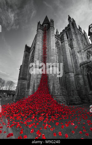 Piange la finestra di visualizzazione dei papaveri in ceramica Hereford Cathedral Regno Unito Marzo 2018 Foto Stock